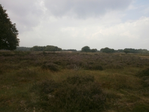 P8070036