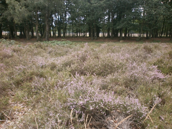 P8070045