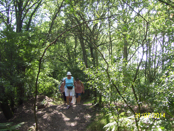 Wandeling naar Midzelen - 31 juli 2014