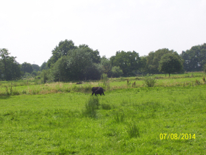 Wancdeling langs Natuurpunt - 7 augustus 2014