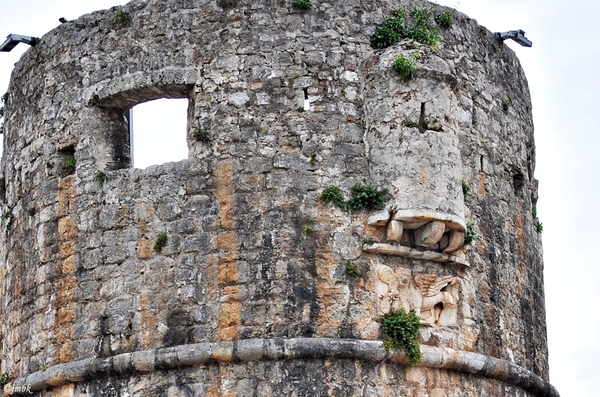 DSC_9540 Budva - Montenegro