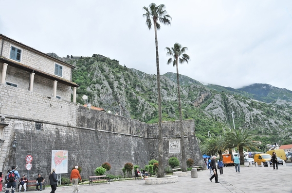 Montenegro Kotor 32 DSC_9531