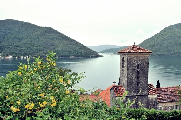 Baai van Kotor 8 - Montenegro DSC_9486