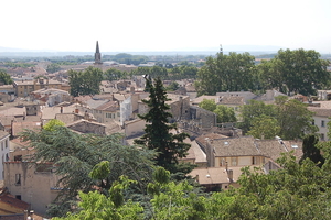 Avignon