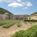 Abbaye de Senanque
