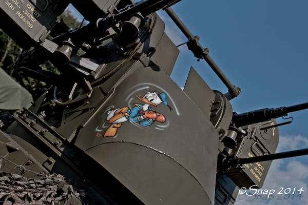 Wings And Weels 2014IMG_5295-5295