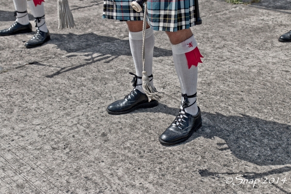 Wings And Weels 2014IMG_5491-5491