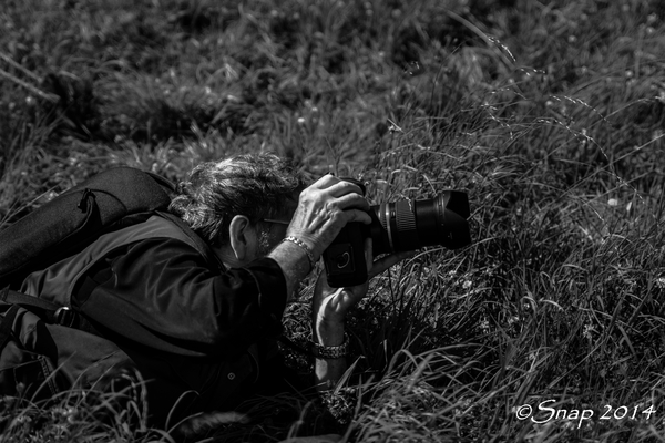 Wings And Weels 2014IMG_5612-5612