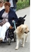 Hilly foto gemaakt door Annais
