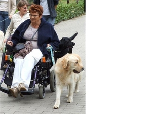Hilly foto gemaakt door Annais