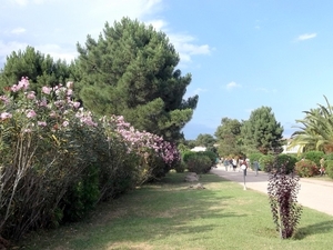 Corsica (juni 2014) (52)