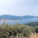 Corsica (juni 2014) (65)