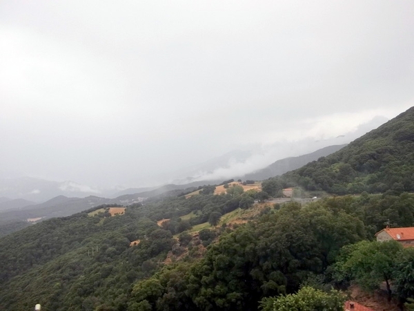 Corsica (juni 2014) (66)