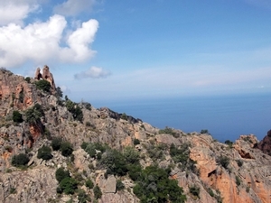 Corsica (juni 2014) (121)