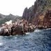 Corsica (juni 2014) (132)