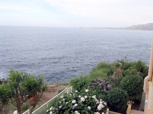 Corsica (juni 2014) (144)