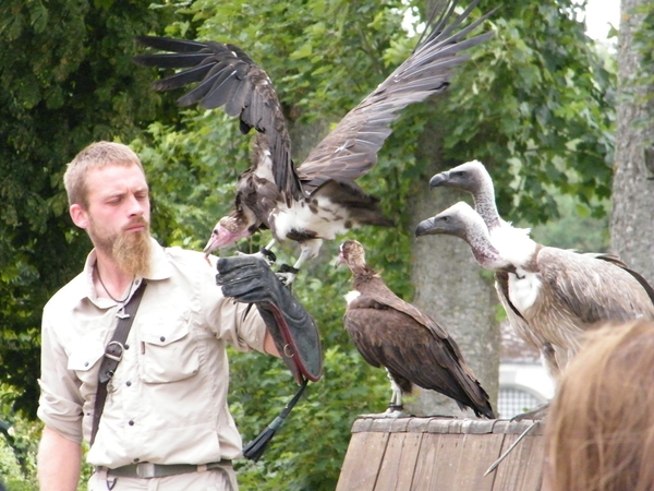 2014_06_17 Pairi Daiza 157