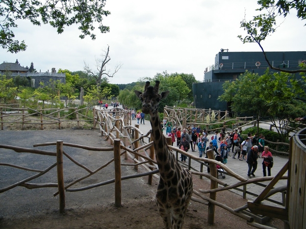 Pairi Daiza