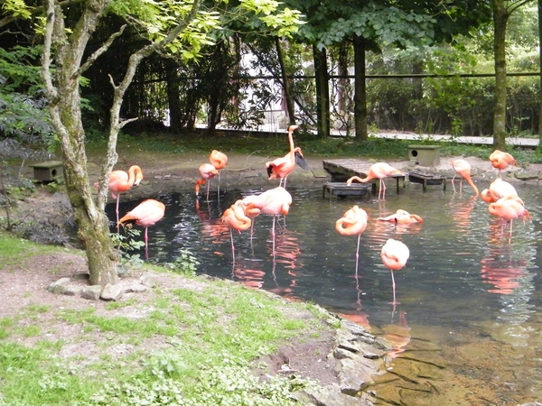 Pairi Daiza