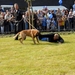 openhekladag-0295