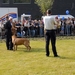 openhekladag-0308
