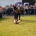 openhekladag-0310