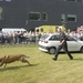 OpenHekladag 755