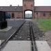 007 Auschwitz-Birkenau (3)