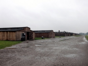 007 Auschwitz-Birkenau (8)