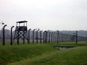 007 Auschwitz-Birkenau (9)