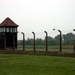 007 Auschwitz-Birkenau (10)