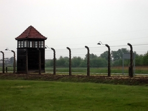 007 Auschwitz-Birkenau (10)