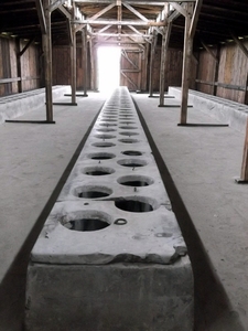007 Auschwitz-Birkenau (11)