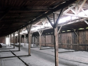 007 Auschwitz-Birkenau (12)