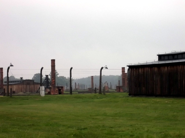 007 Auschwitz-Birkenau (14)