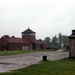 007 Auschwitz-Birkenau (18)