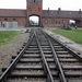 007 Auschwitz-Birkenau (19)