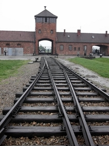 007 Auschwitz-Birkenau (19)