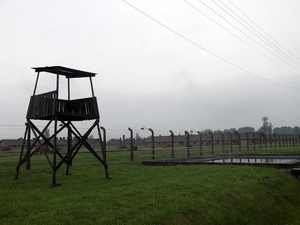 007 Auschwitz-Birkenau (20)