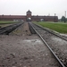 007 Auschwitz-Birkenau (22)