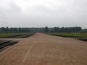 007 Auschwitz-Birkenau (25)