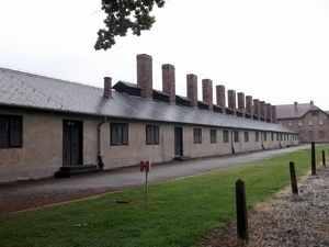 008 Auschwitz I (11)