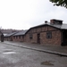 008 Auschwitz I (14)