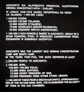 008 Auschwitz I (18)