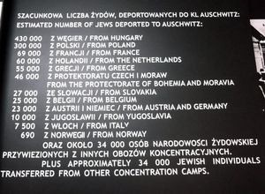 008 Auschwitz I (23)