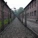 008 Auschwitz I (64)