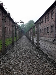 008 Auschwitz I (64)