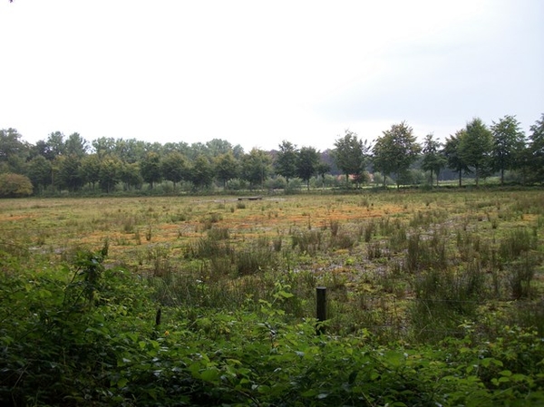 33-Heideherstel in Heideveld-Bornebeek