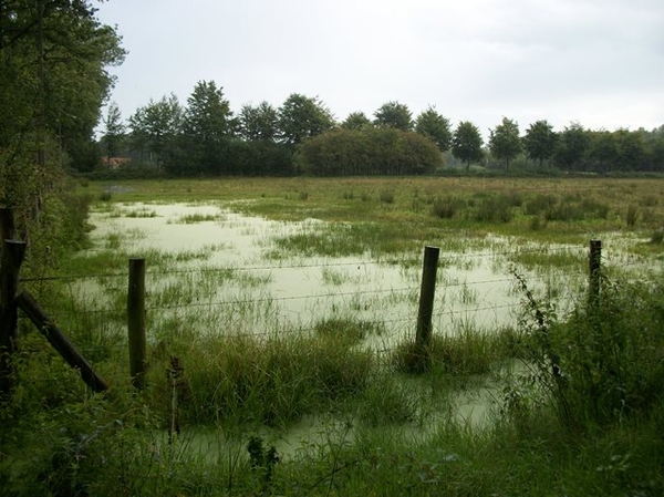 35-Heideherstel in Heideveld-Bornebeek
