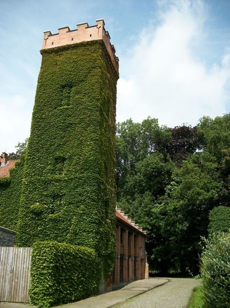 70-Natuurpunt-De Torenvalk-Beernem